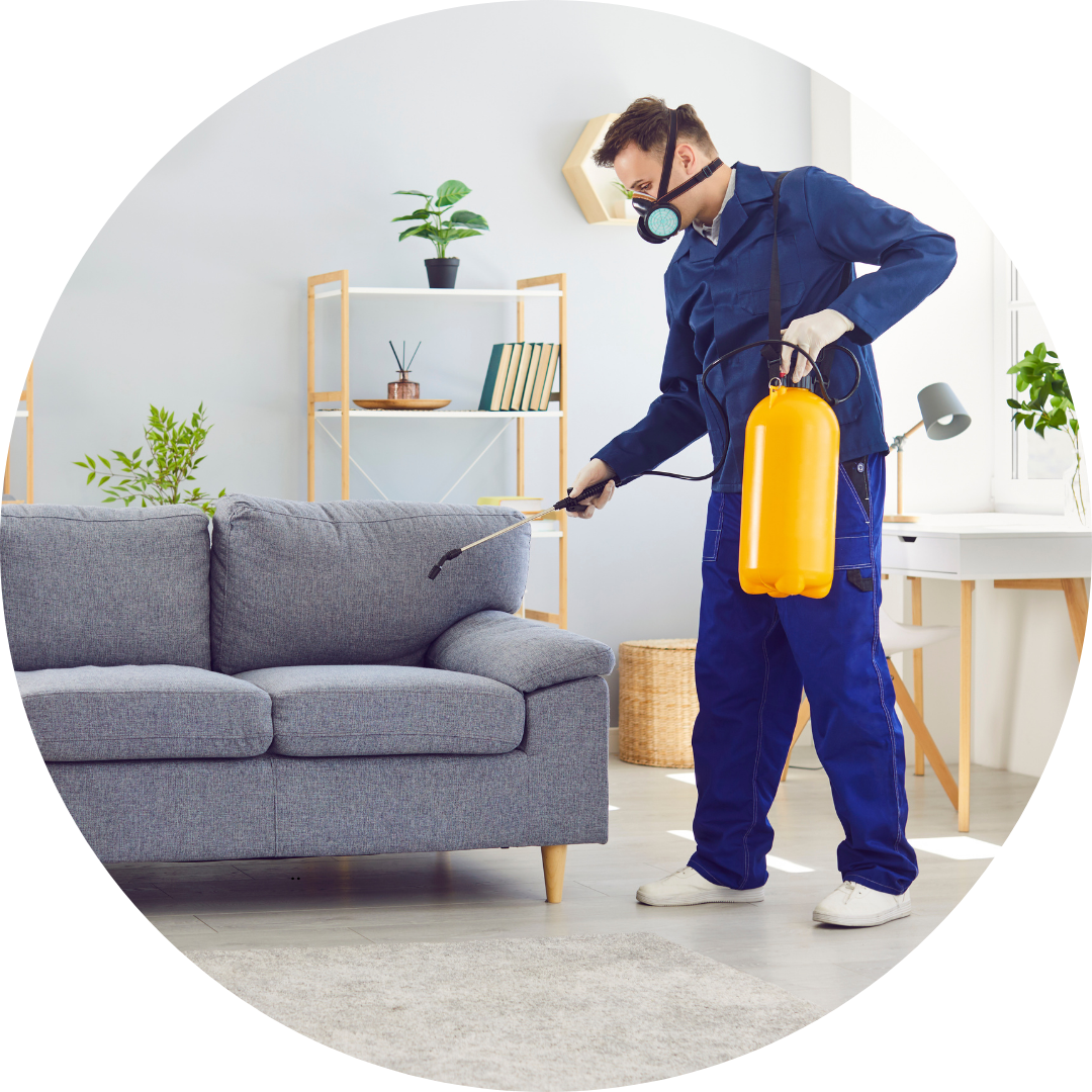 Kitchen & Bathroom Pest Control