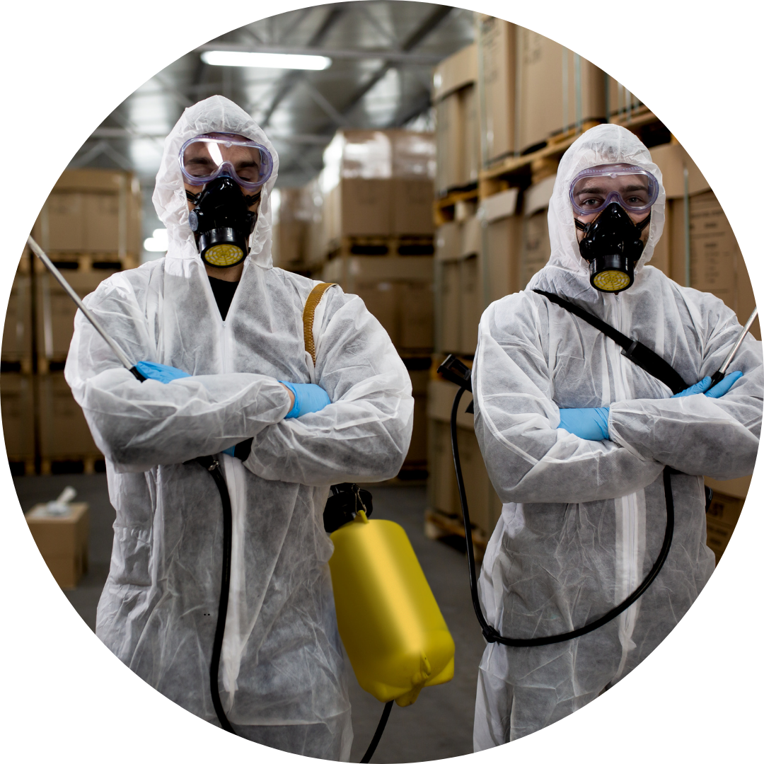 Office & Shop Pest Control