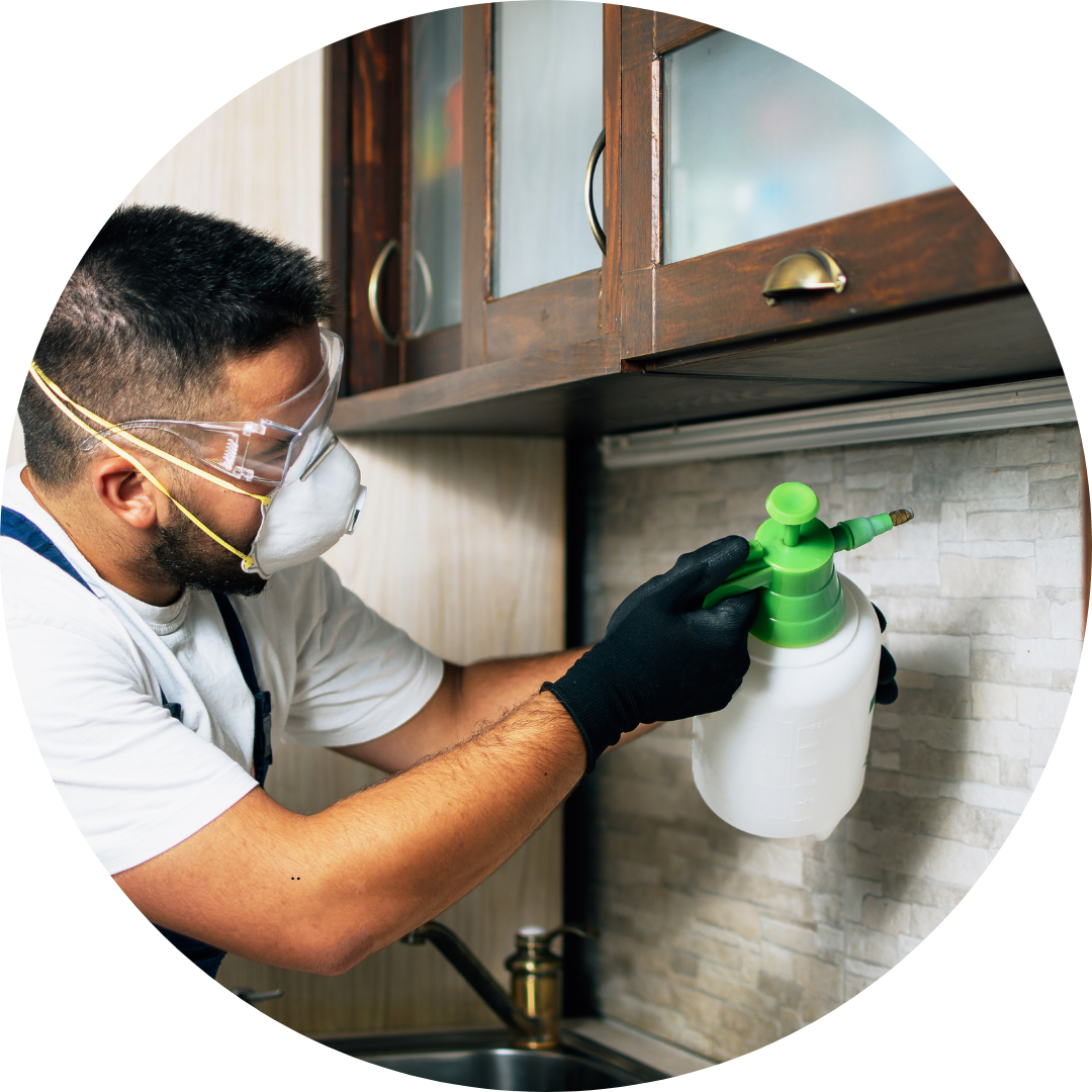 Termite Control